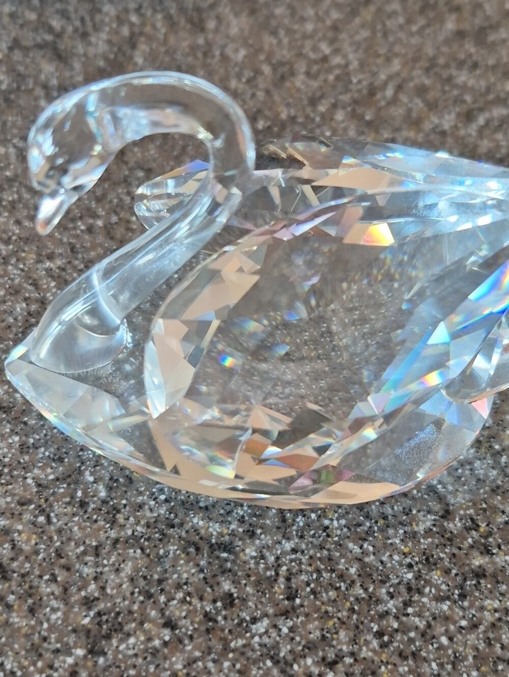 Swarovski Crystal Large Swan Retired Sc Block Logo Original Box 7633 063